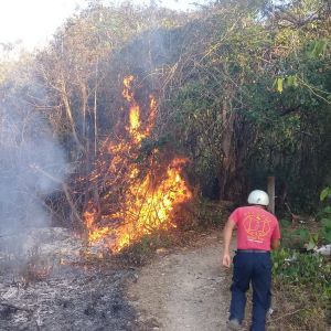 Laura Fernández pide a la ciudadanía prevenir incendios forestales