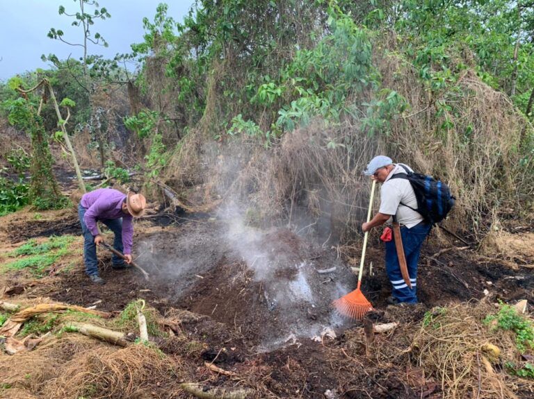Liquidan dos incendios forestales que se mantenían activos en Leona Vicario