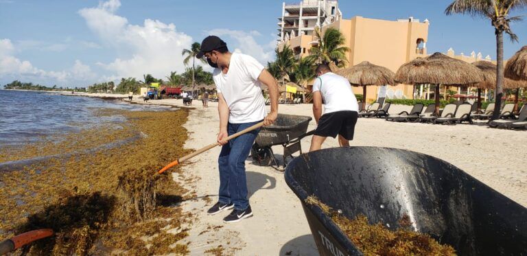 Croquistas colaboran de forma permanente en la limpieza del sargazo en las playas