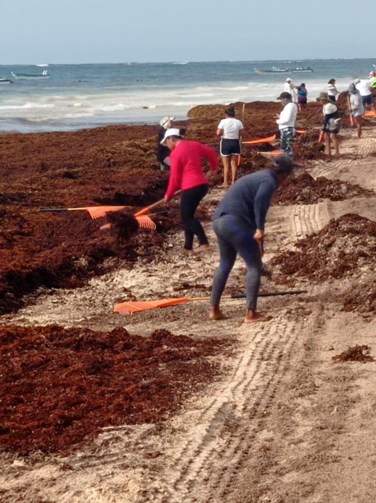 Entre sargazo, invasiones e inseguridad, Solidaridad, octavo municipio de Quintana Roo, cumple 28 años