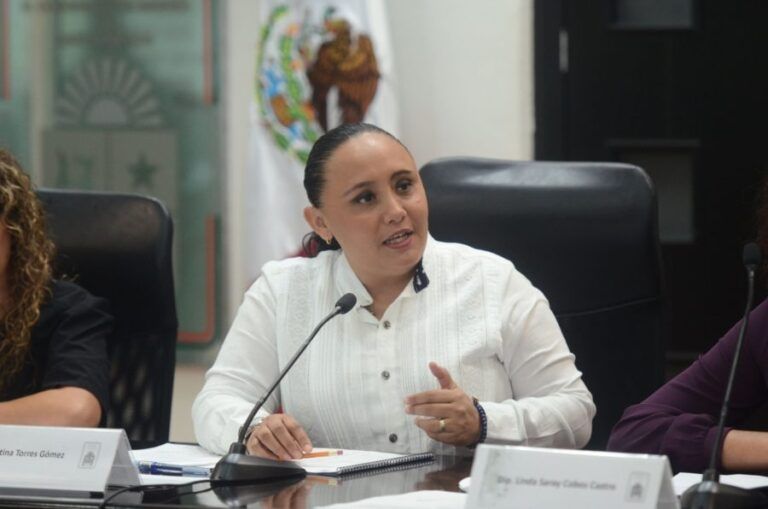 Reactivación económica de la zona sur requiere esfuerzos coordinados: Cristina Torres