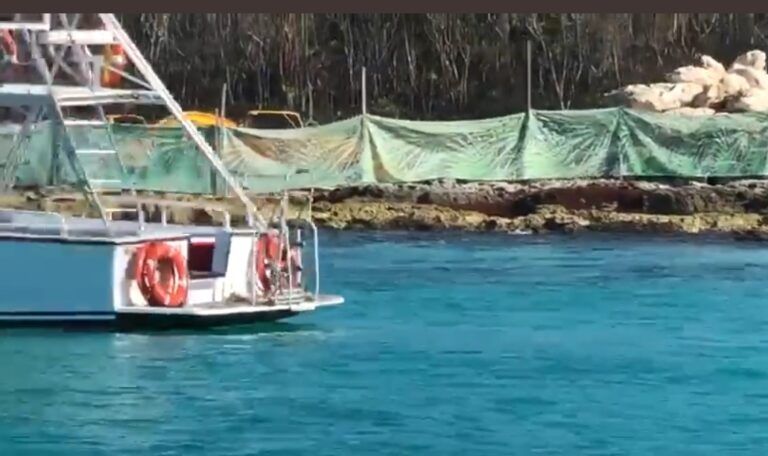 Acusan de ecocidio al grupo Xcaret, por dañar arrecifes para construir marina
