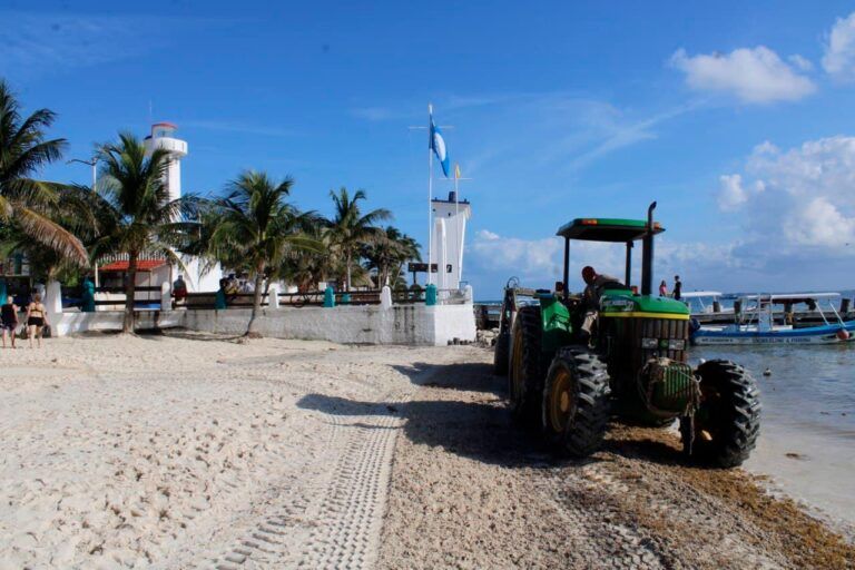 Gobierno de Puerto Morelos trabaja con anticipación para mitigar el impacto del sargazo