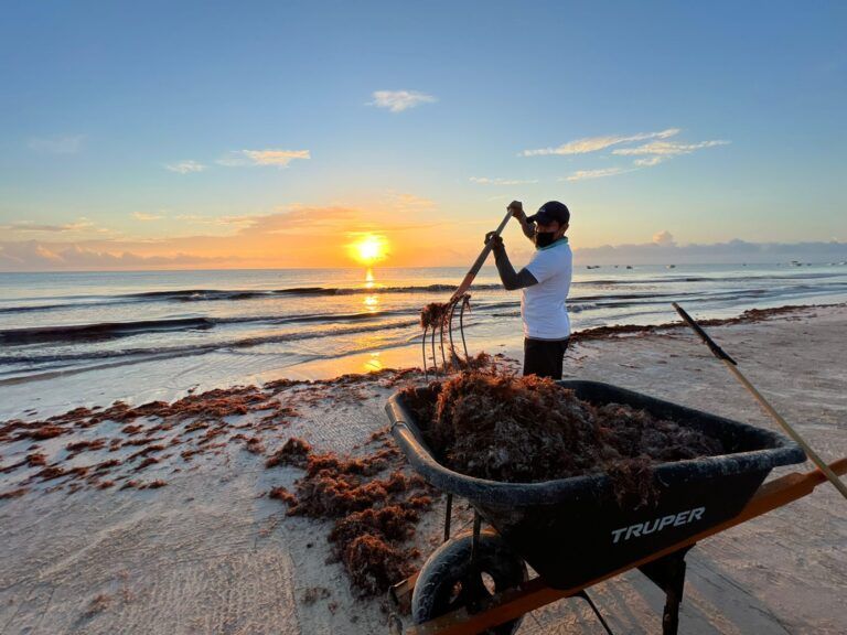 Tulum mantiene sus playas limpias y libres de sargazo