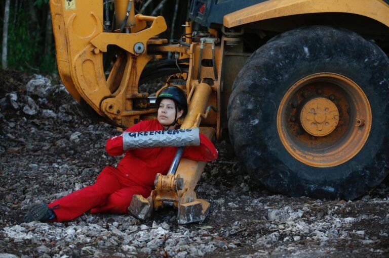 Activistas de Greenpeace demandan la suspensión de las obras del Tren Maya en el tramo 5