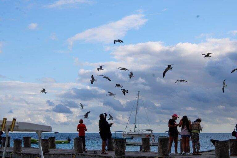 Una amplia gama de servicios y experiencias turísticas fortalecen la marca Puerto Morelos