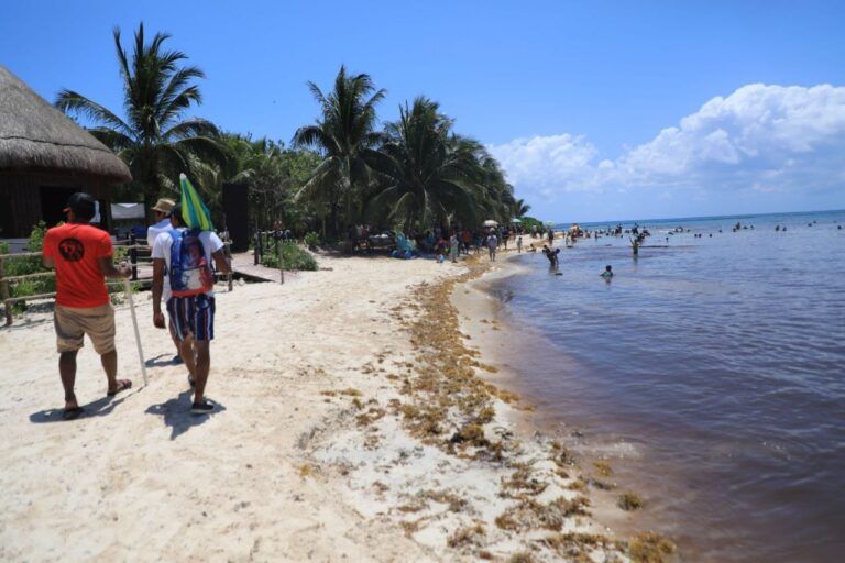 Turismo y locales disfrutan de playas certificadas en Solidaridad