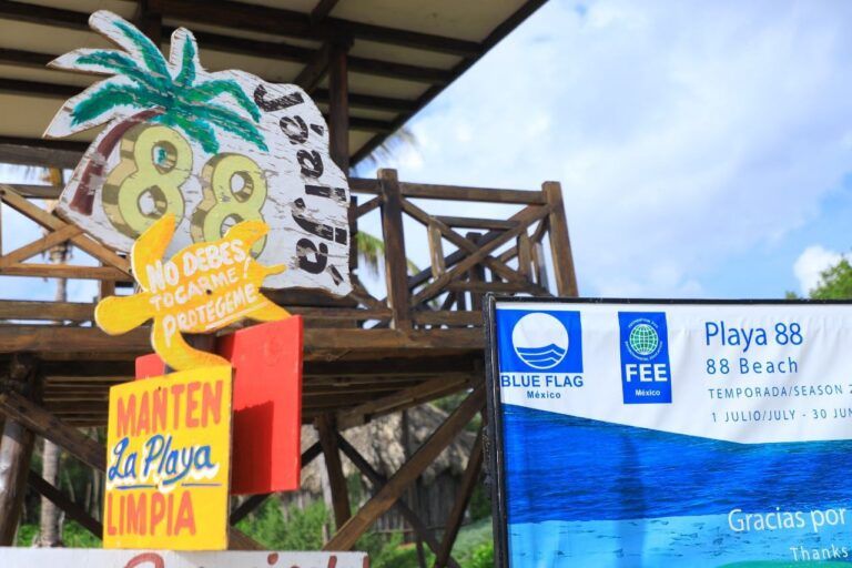 Solidaridad alista cuatro playas más para certificación este 2023
