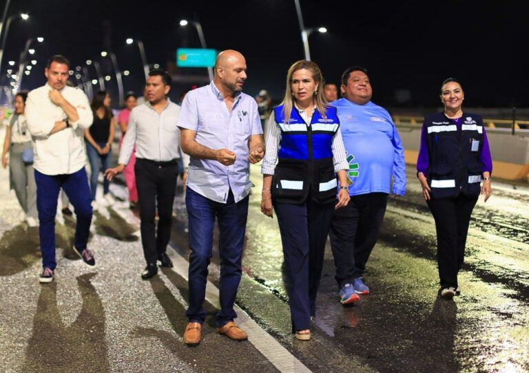 Lili Campos moderniza la iluminación en puente a desnivel