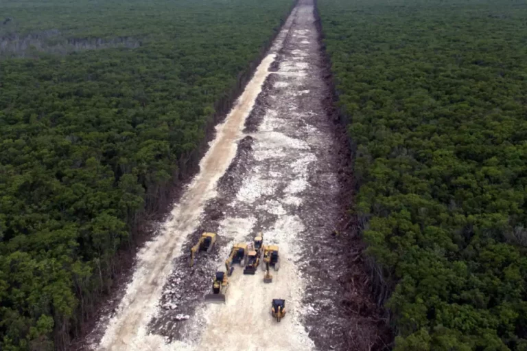 Grupo México también ‘se baja’ del Tren Maya: Acuerda cerrar su participación del tramo 5