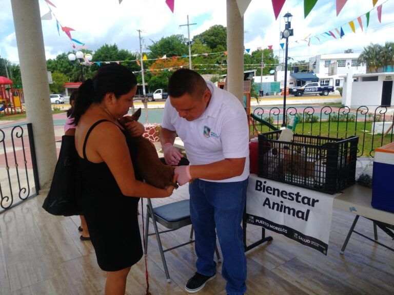 Bienestar Animal continúa vacunando a perros y gatos en Puerto Morelos contra la rabia