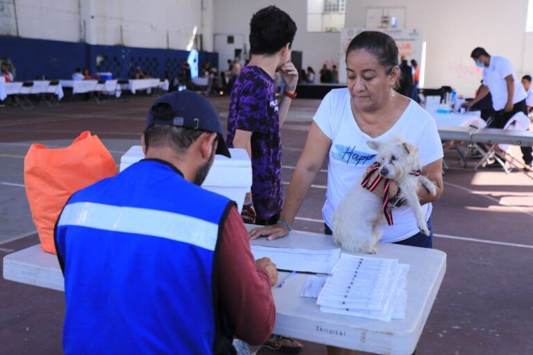 Solidaridad busca reducir fauna callejera con esterilizaciones