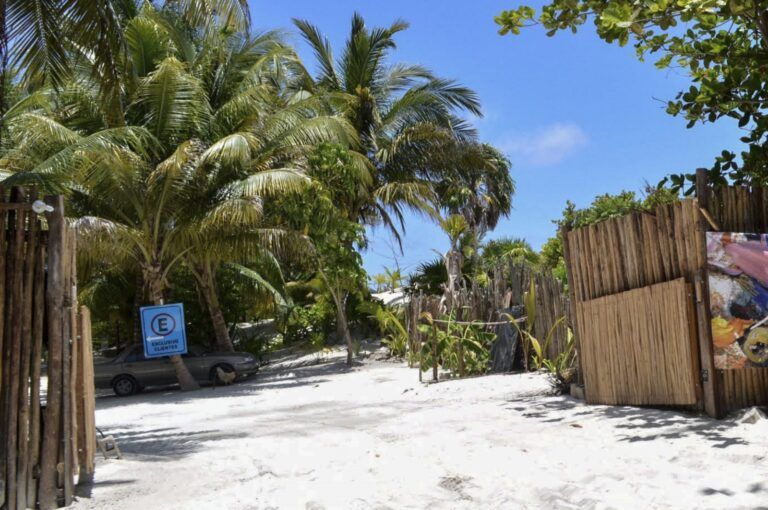 Ponen bajo la lupa a mafia de despojo