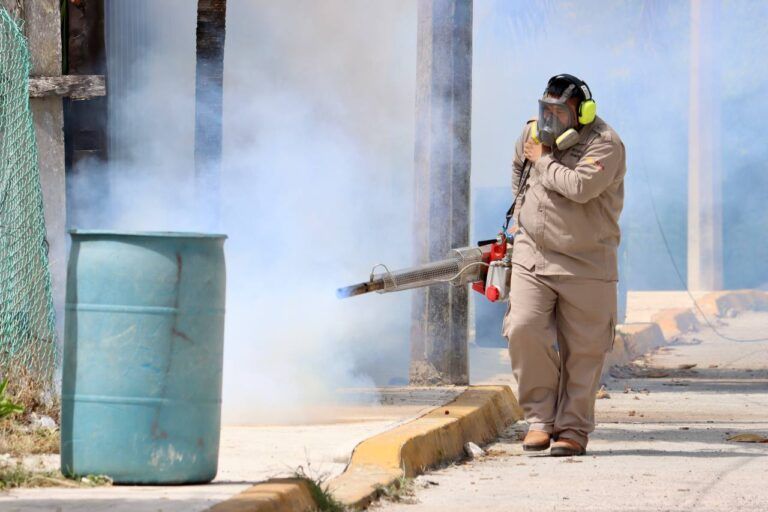 Combaten enfermedades transmitidas por vector fumigando colonias de Puerto Morelos