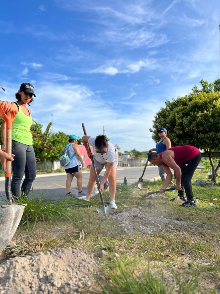 Jóvenes de Puerto Morelos organizan jornada de reforestación
