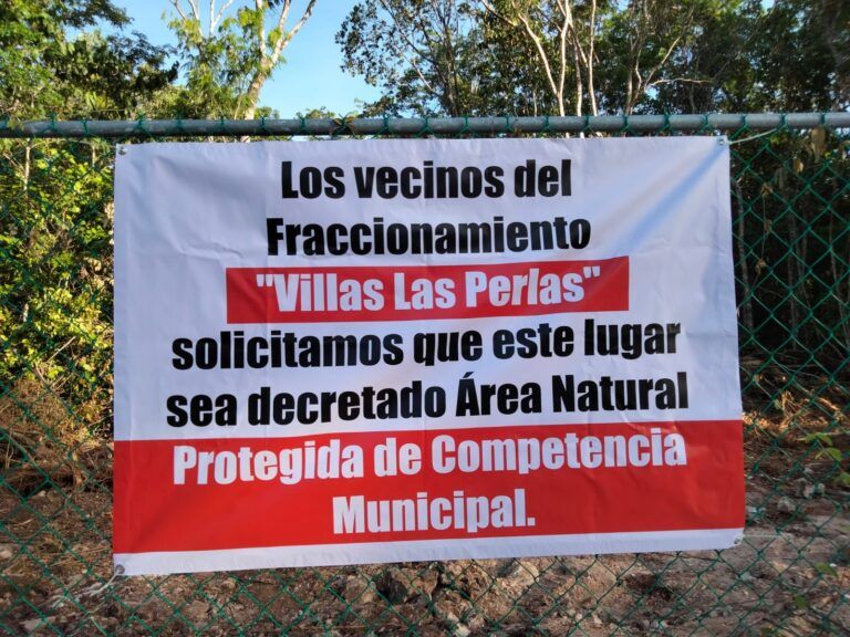 Playenses lamentan que gobierno de Solidaridad pretenda dañar una zona que consideran un pulmón verde