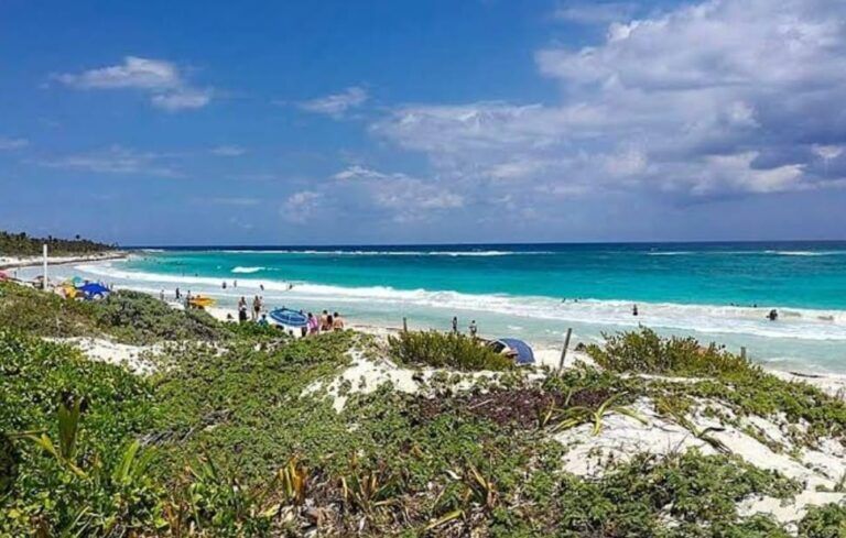 Abren de nuevo el proceso por daño ambiental de Grupo Posadas a playas de Xcacel-Xcacelito