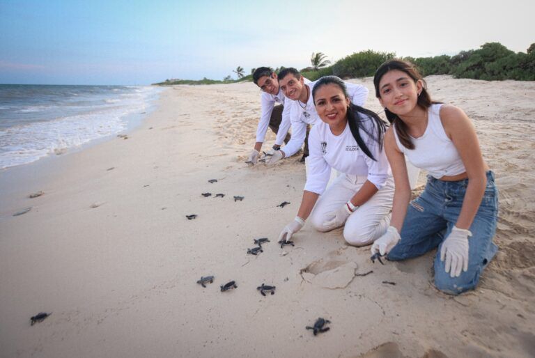 Constata Blanca Merari Programa de Preservación de la Tortuga Marina