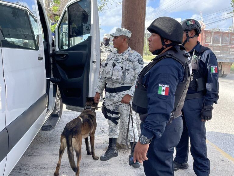 Más acciones de seguridad y protección para los solidarenses