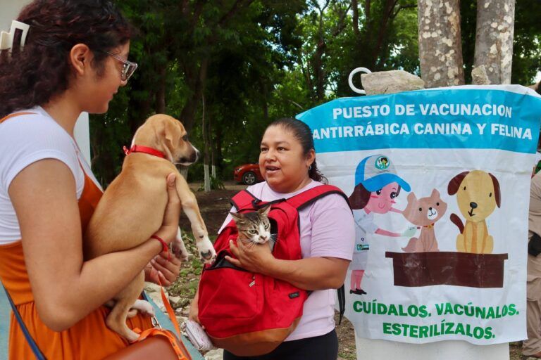 Gobierno de Puerto Morelos se suma a la Semana Nacional de Vacunación Antirrábica