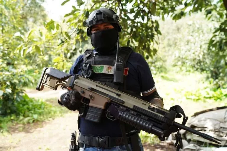 El narco en México recluta cada semana hasta 375 personas; tiene alrededor de 175 mil miembros revela estudio de Science