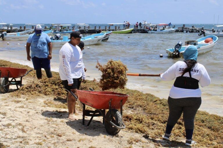 Puerto Morelos, imparable en la lucha contra el sargazo: Blanca Merari