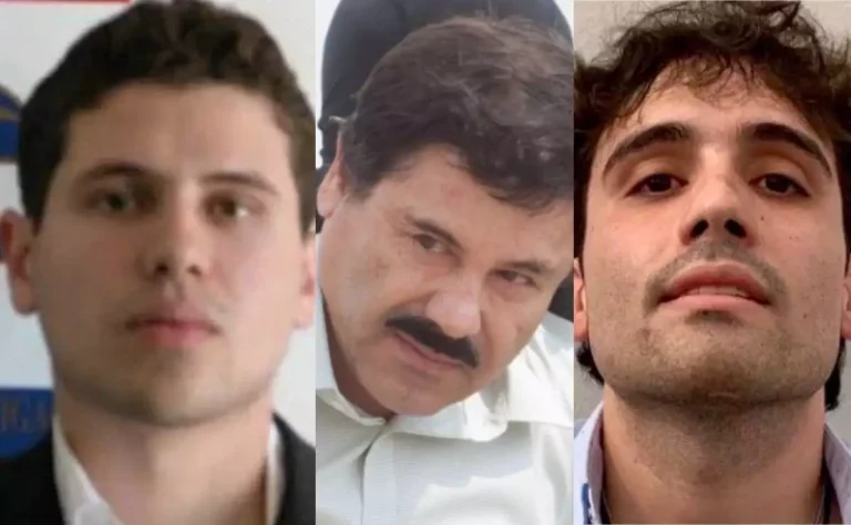 EU solicitará a México la captura y extradición de todos “Los Chapitos”