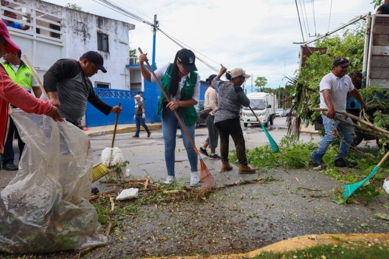 “Limpiamos tu colonia” embellece la calle almendros, en la región 17 de Puerto Morelos