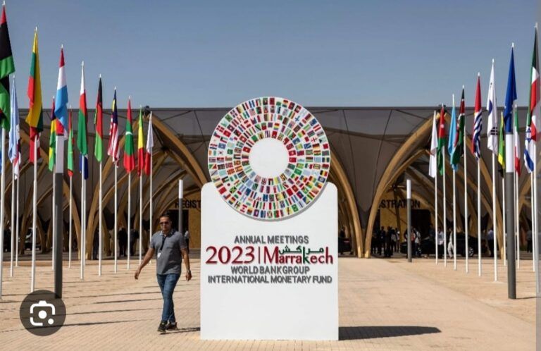 Activistas del mundo exigirán a BM-FMI fin a políticas de ajuste