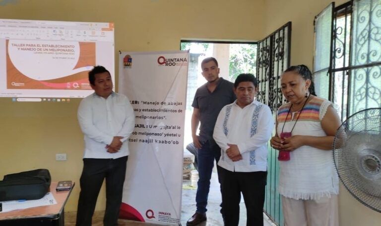 Apicultores de Leona Vicario reciben curso sobre la producción de miel de la abeja melipona