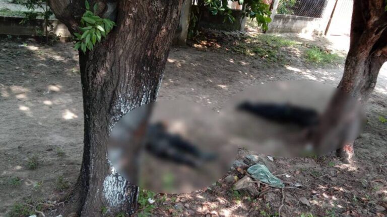 Emboscan y ejecutan a 13 policías en Coyuca de Benítez, Guerrero