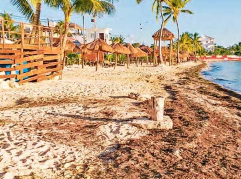 Sorprende el sargazo a Cancún en pleno otoño