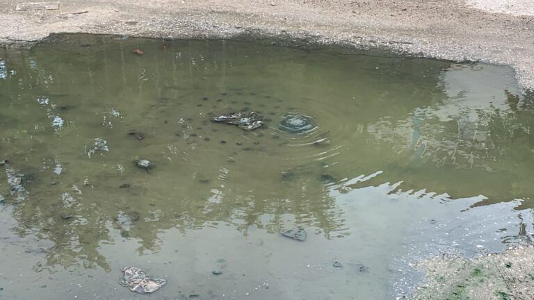 Aguakan y el Ayuntamiento de Benito Juárez tienen la Región 253 inundada por aguas negras