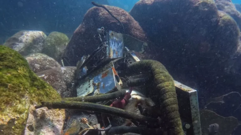 Tan devastado como Acapulco está el fondo del mar, alertan