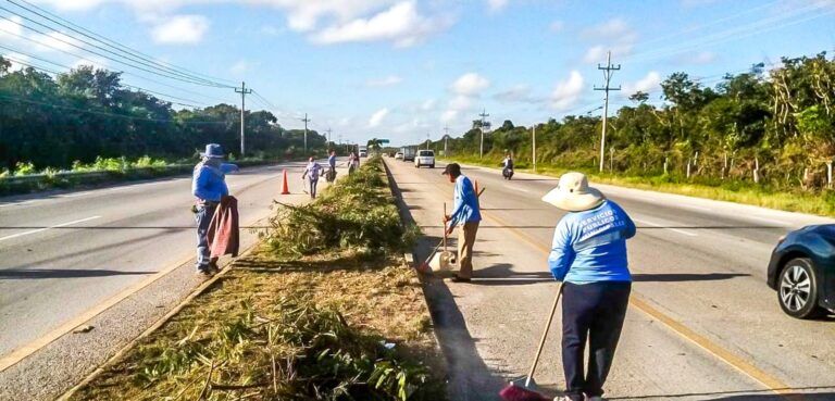 Solidaridad mantiene sus carreteras limpias de maleza