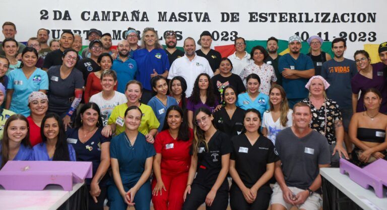 Realizan la segunda campaña masiva de esterilización de fauna doméstica en Puerto Morelos