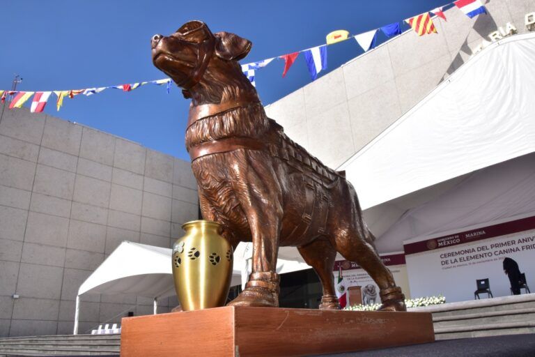 A un año de la partida de la perrita “Frida”, la recuerdan con honores