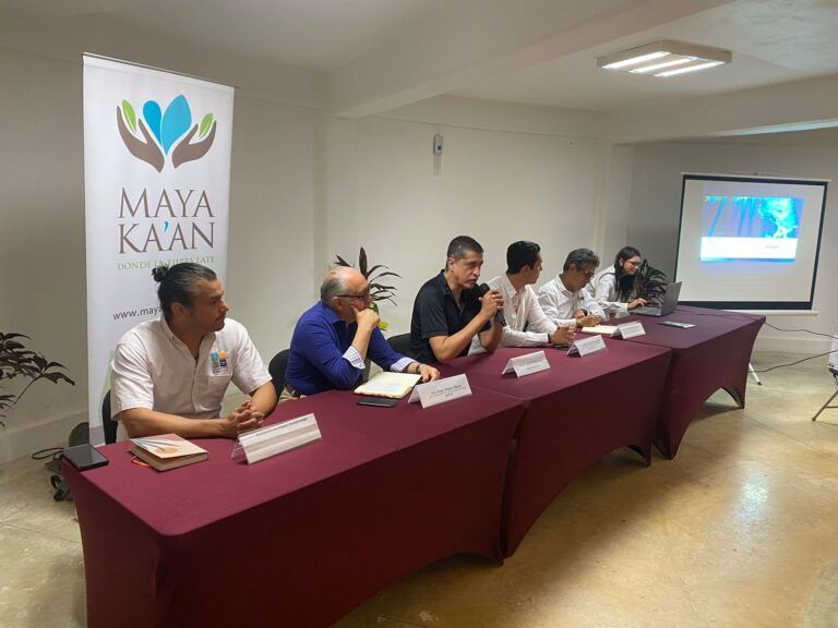 Exhortan a mejorar construcción de caminos en humedales