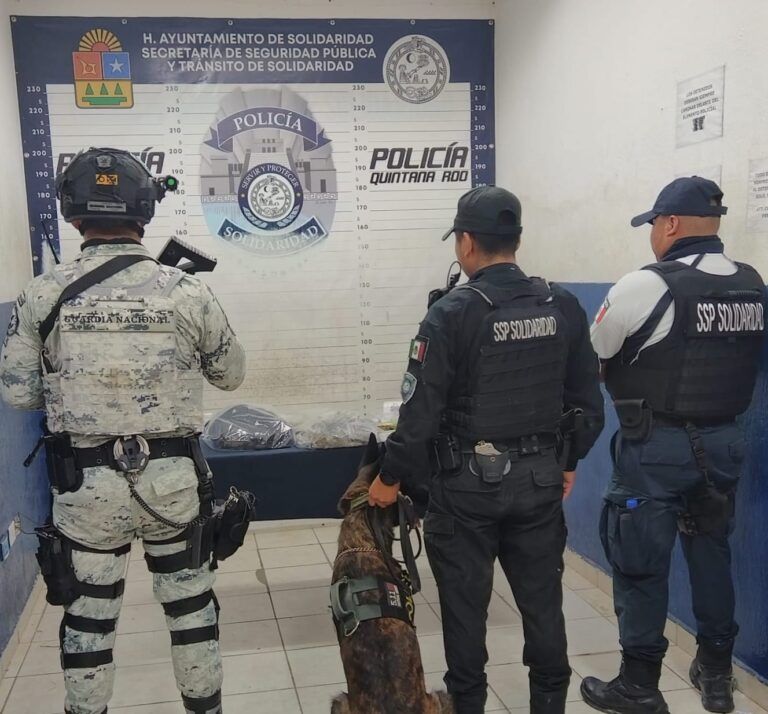 Aseguran más de 140 dosis de drogas en operativos en Playa del Carmen