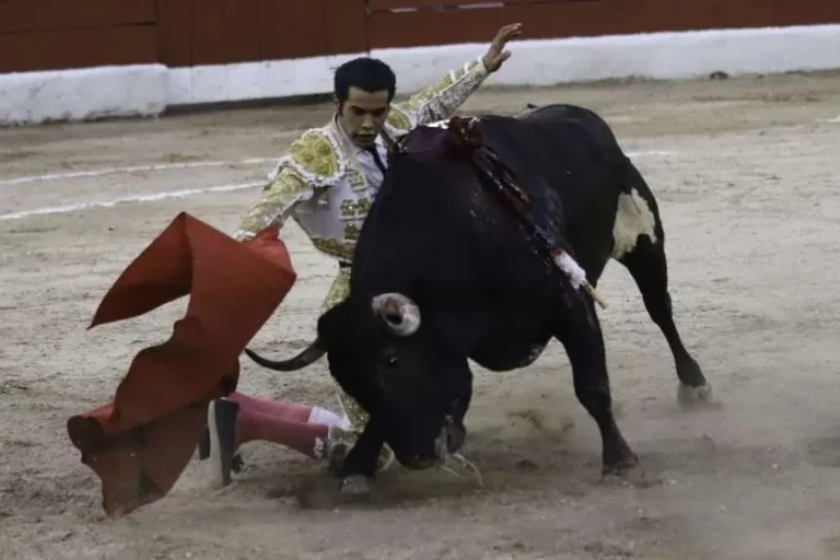 Son capaces de sufrir
