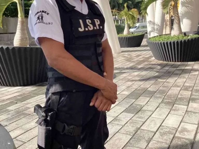 Simula empresa de diputado de Morena portar armas