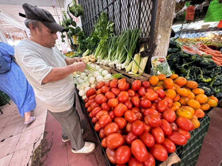 Se disparan el precio del jitomate y cebolla