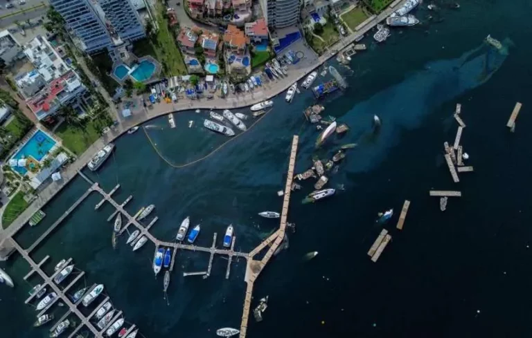 Contaminación marina aún azota al puerto de Acapulco a 80 días del huracán Otis