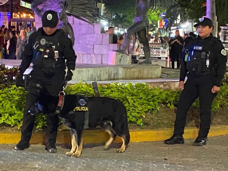 Solidaridad reporta saldo blanco en festividades de Año Nuevo