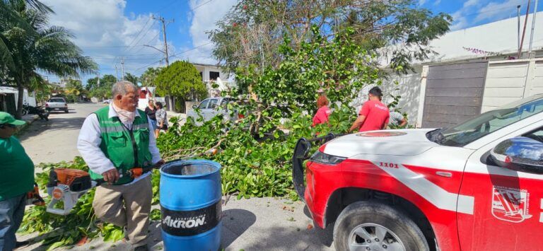Bomberos de Puerto Morelos atienden problemas causados por fuertes vientos