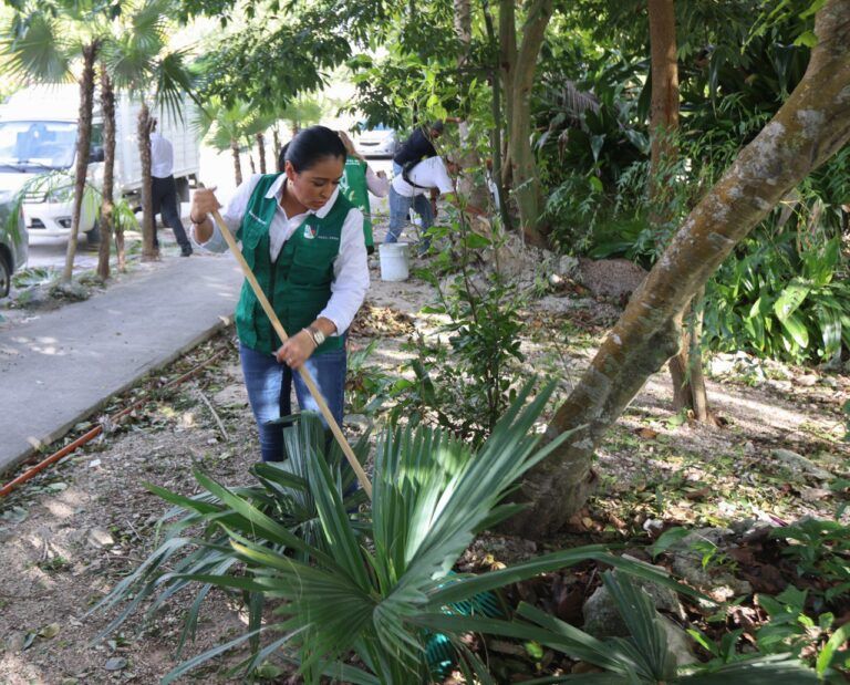 Gobierno de Puerto Morelos limpia y mejora parque del fraccionamiento Villas Morelos 2