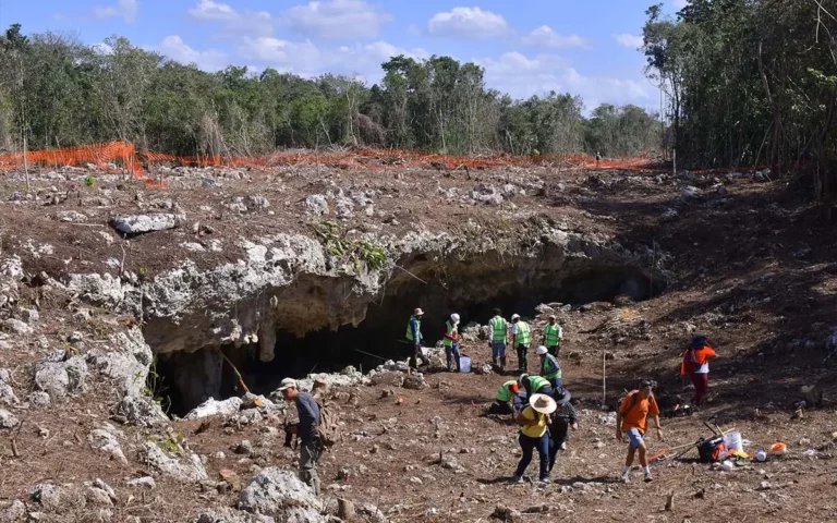 Ordena juez suspender obras del tramo 5 del Tren Maya, por causas ambientales