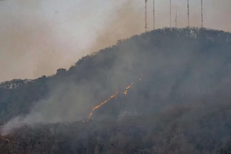 México reporta 120 incendios forestales activos, un incremento diario del 26%