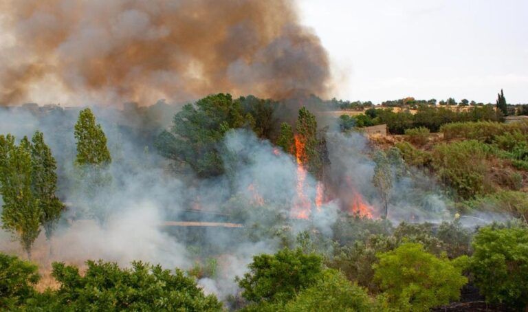 Incendios forestales crecen 63% y afectan a 18 estados