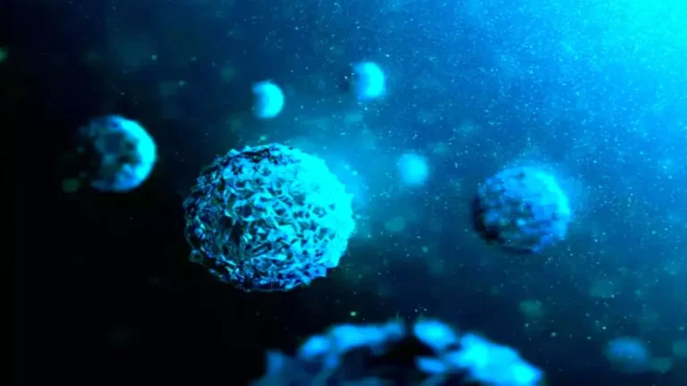¿Cómo pueden afectar los nanoplásticos?